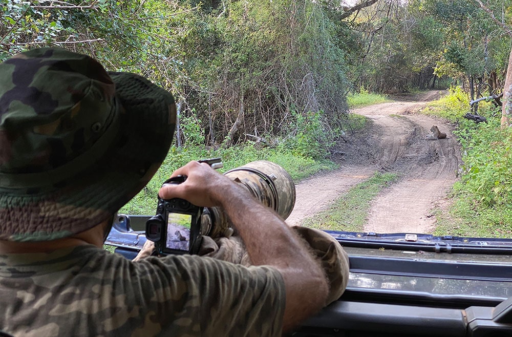 wilpattu national park safari price for locals